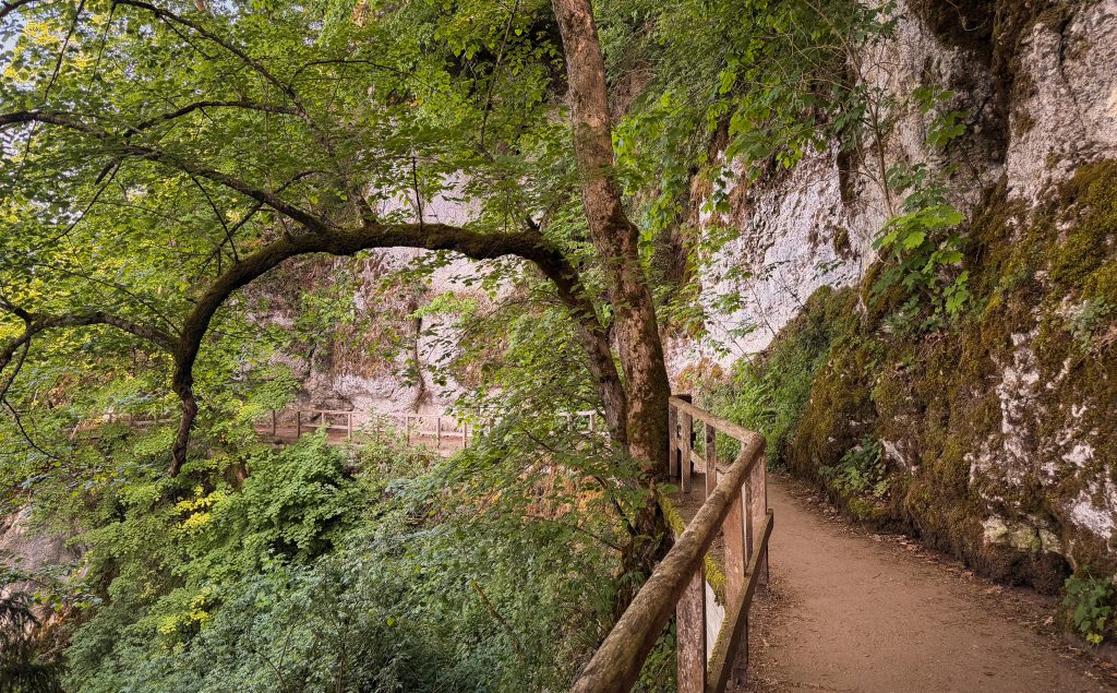 Path in the Fürstlicher Park Inzigkofen