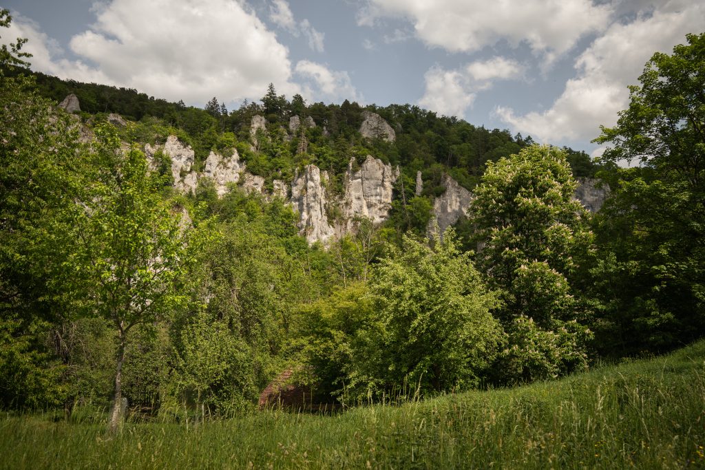 Danube Valley Landscape