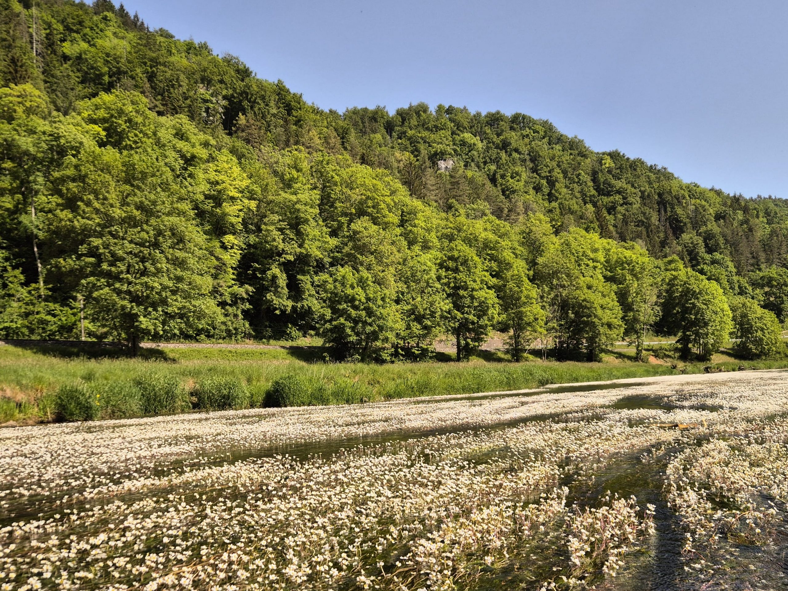 Canoeing on the Danube River